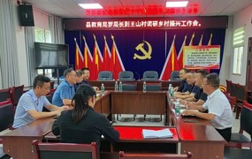 罗强赴王山村调研乡村振兴工作