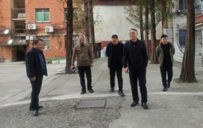 罗强调研武安镇学校 擘画“十五五”教育新篇