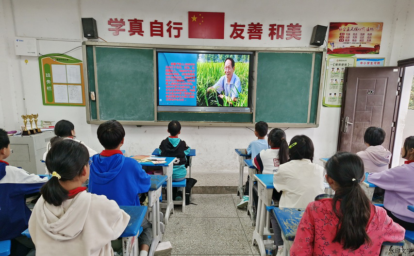 159b2c05d1024c41b43d70e99dde79b2.jpg
