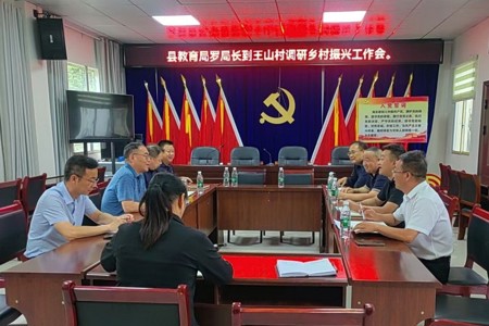 罗强赴王山村调研乡村振兴工作