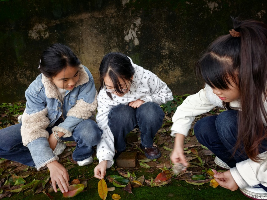 227e3d80e3cd4c72b2452def6e64b96f.jpg 227e3d80e3cd4c72b2452def6e64b96f.jpg